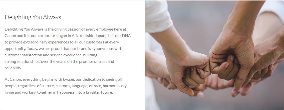 Company's culture and value information
