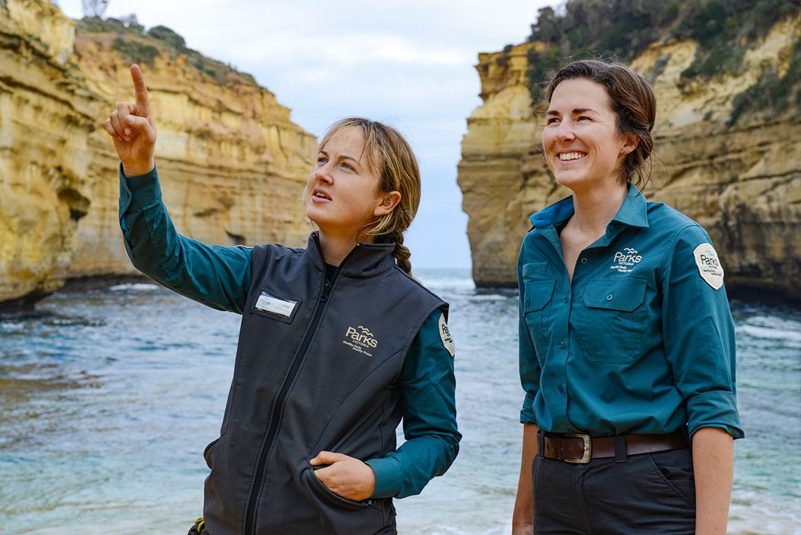 Company's culture and value information