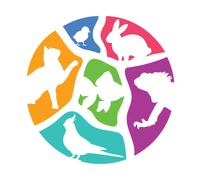 Pasar Hewan Modern Petshop membuka lowongan kerja Casual Event Pet Bandung