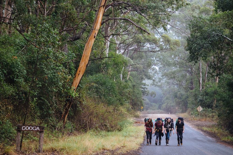 Featured banner image