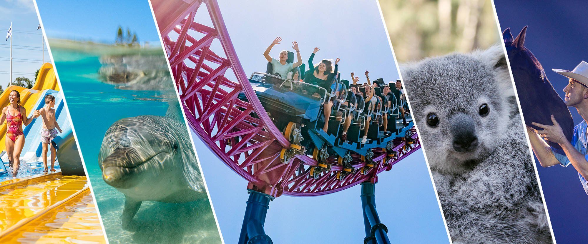 Featured banner image