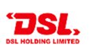 DSL Holding Limited's logo