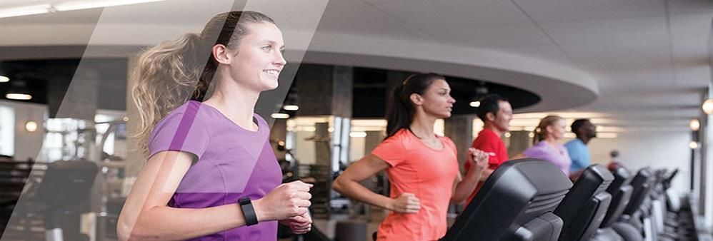 Life Fitness Asia Pacific Ltd's banner