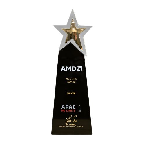 AMD No Limits Award 2015