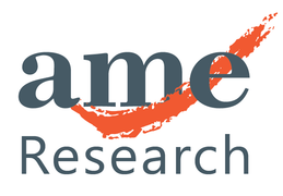 AME Mineral Economics Pty Ltd 