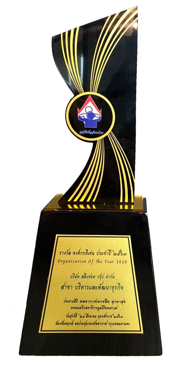 Organization of the Year 2020
