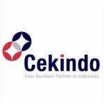 PT Cekindo Business International