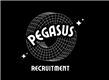 Pegasus Recruitment Company Limited's logo