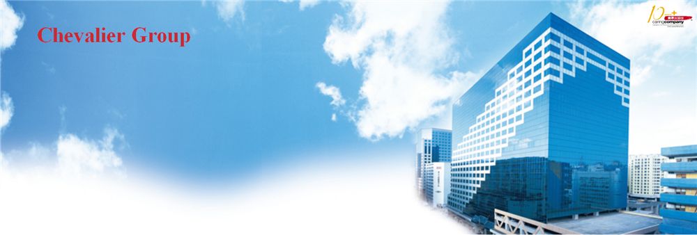 Chevalier Group - Lifts and Escalators's banner
