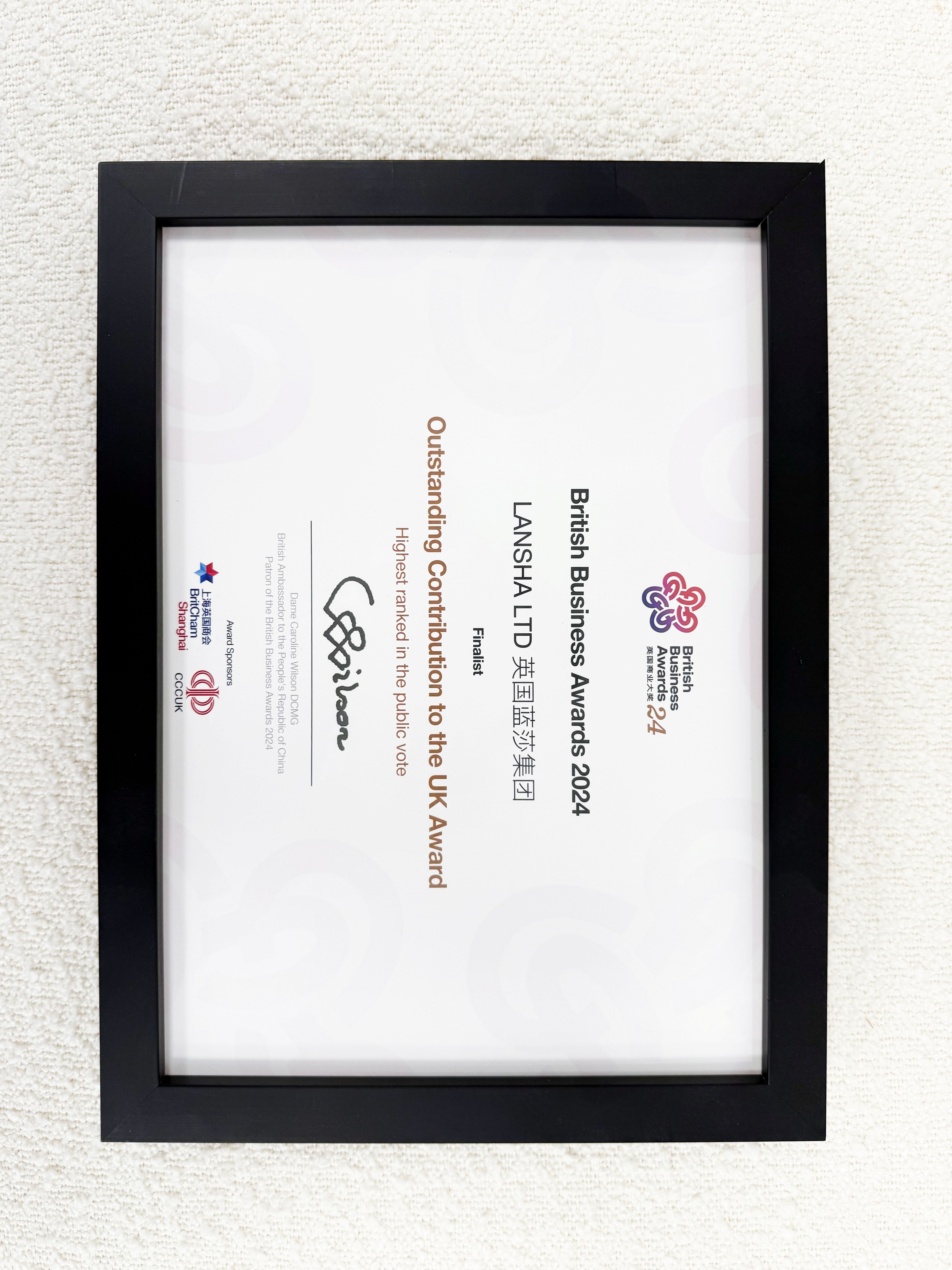 British Business Awards Outstanding Contribution 2024