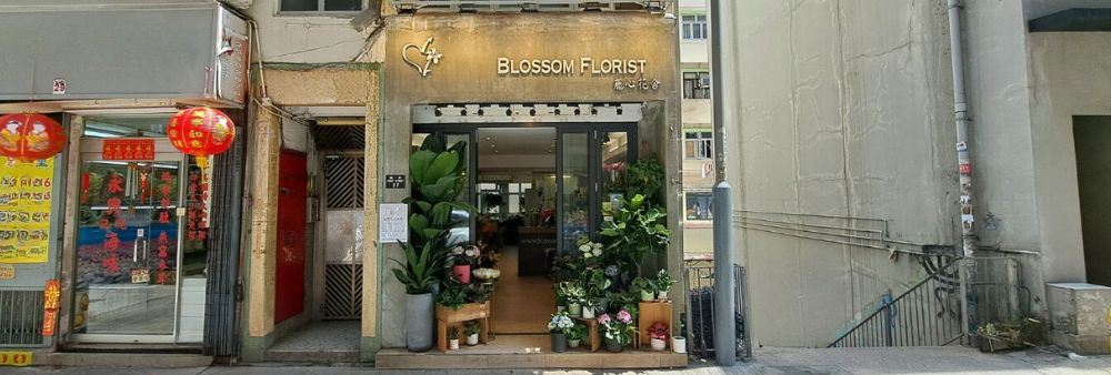 Blossom Florist's banner