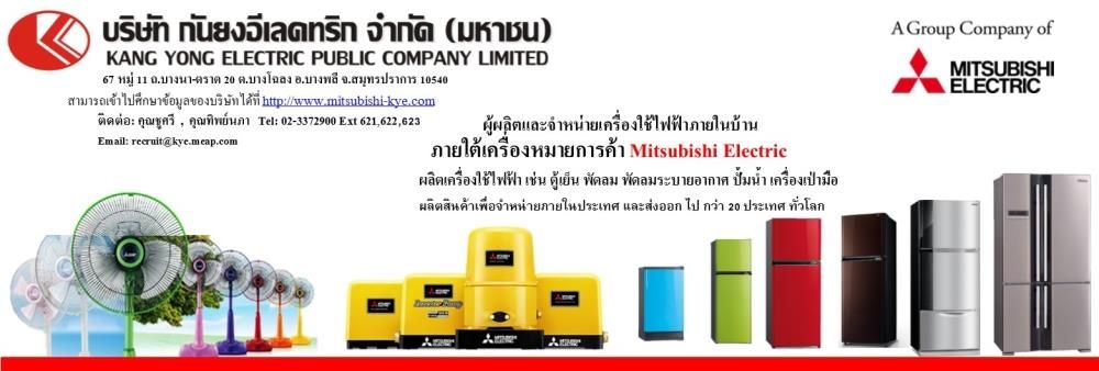 Kang Yong Electric Public Company Limited's banner