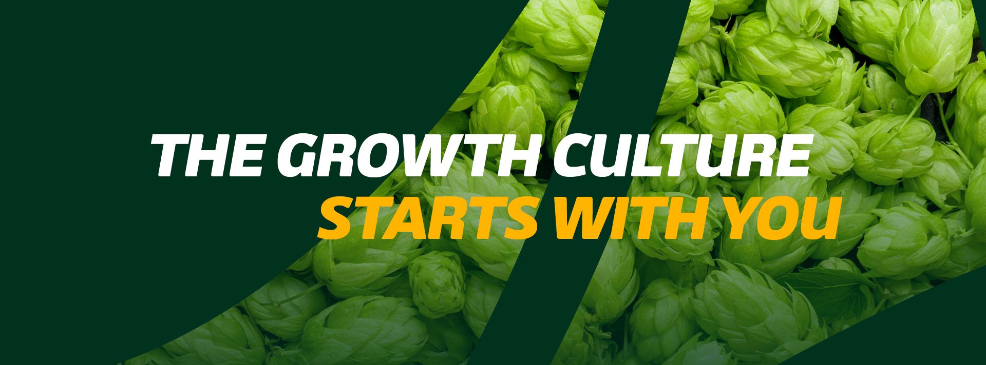 Company's culture and value information