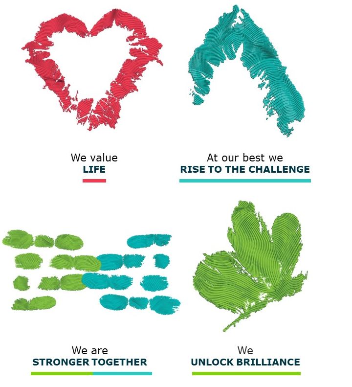 Company's culture and value information