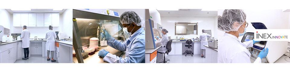 41+ Biomedical science jobs singapore ideas