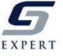 Expert Systems Limited's logo