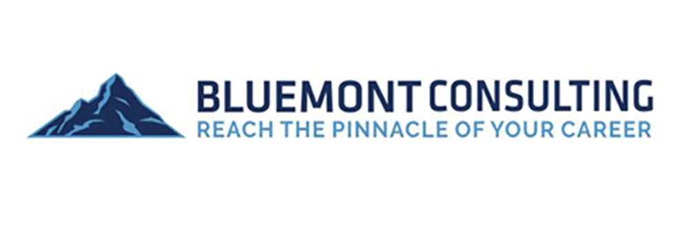 Bluemont Consulting's banner
