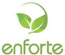 Enforte Co., Ltd.'s logo