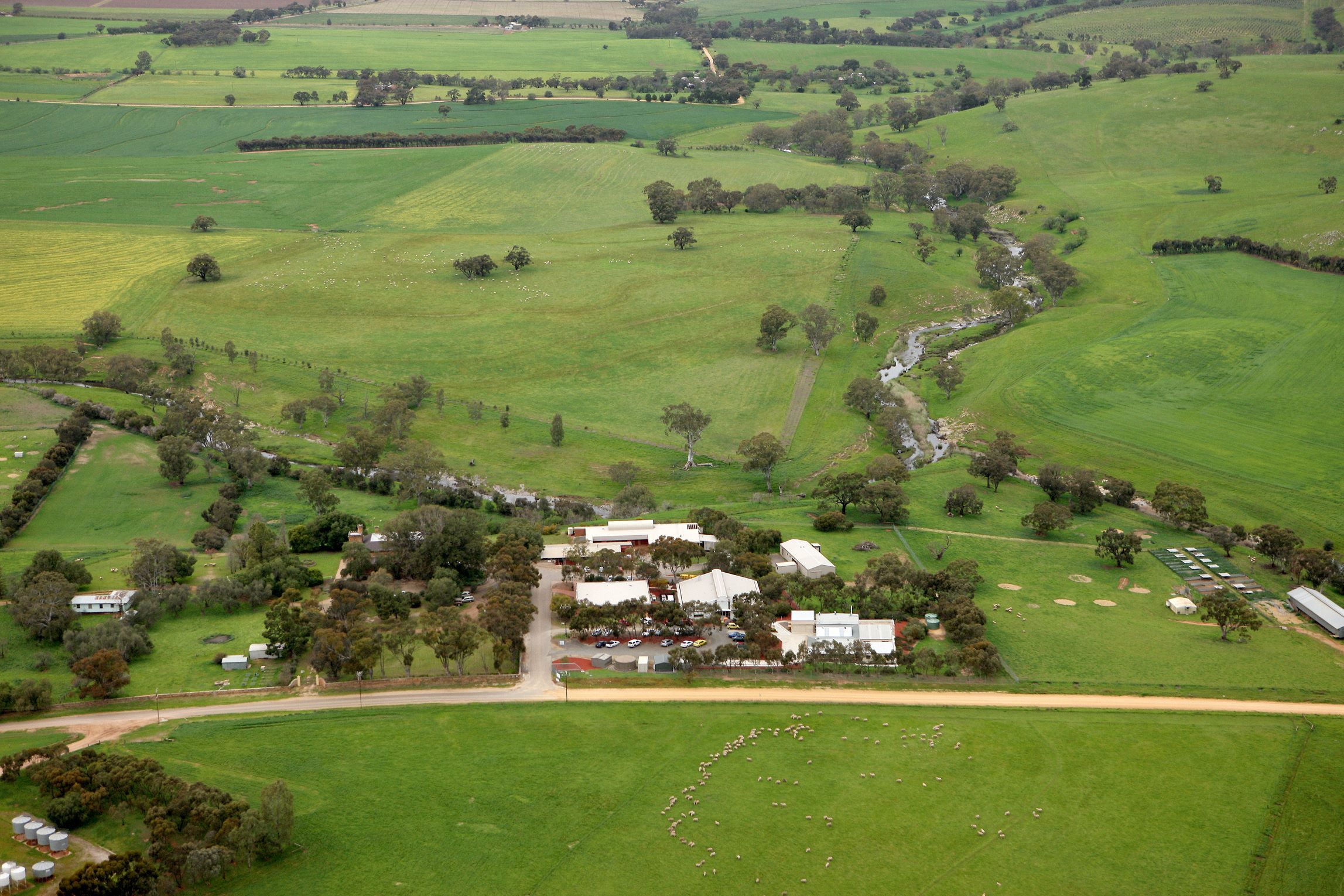 Featured banner image