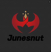 PT JUNESNUT TECH INDONESIA logo
