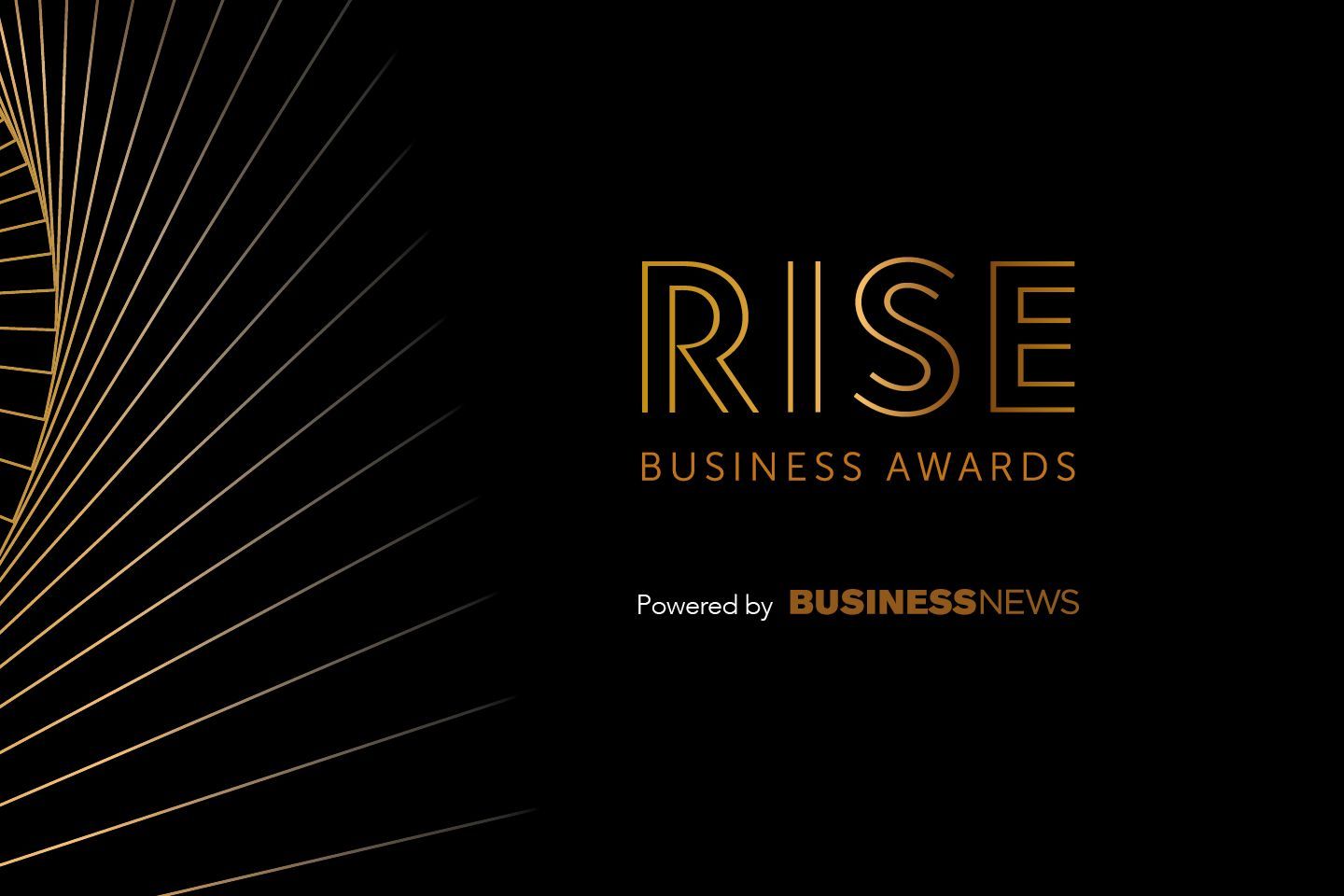 RISE Business Awards - Large Business of the Year 2023