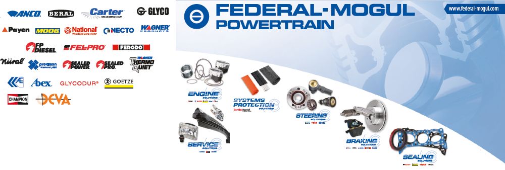 Federal Mogul (Thailand) Ltd.'s banner