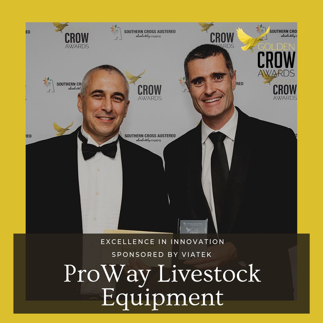 Golden Crow - Excellence in Innovation 2018