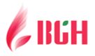 BGH Limited's logo