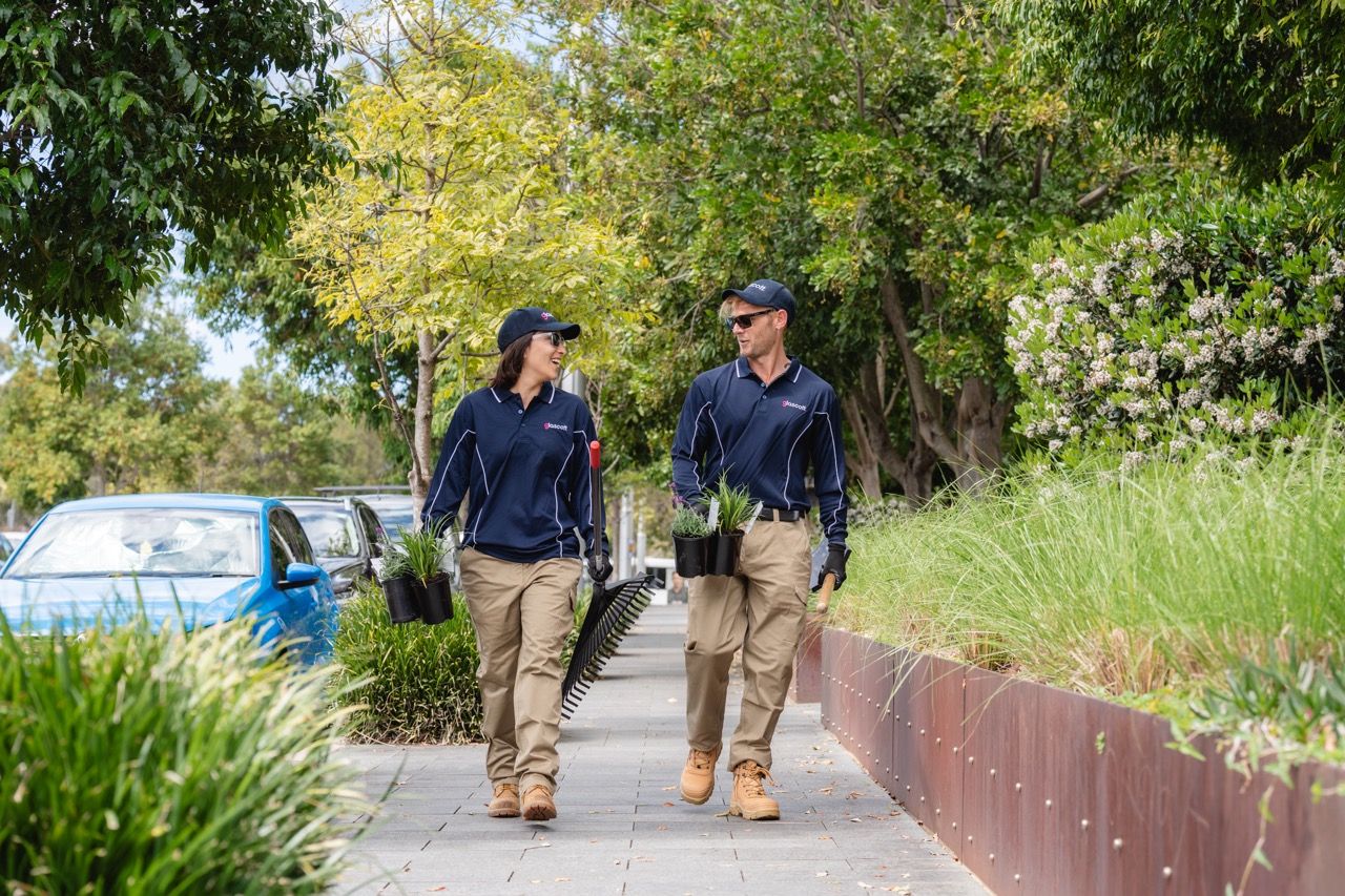 Company's culture and value information