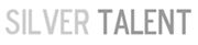 Silver Talent Corporation Limited's logo