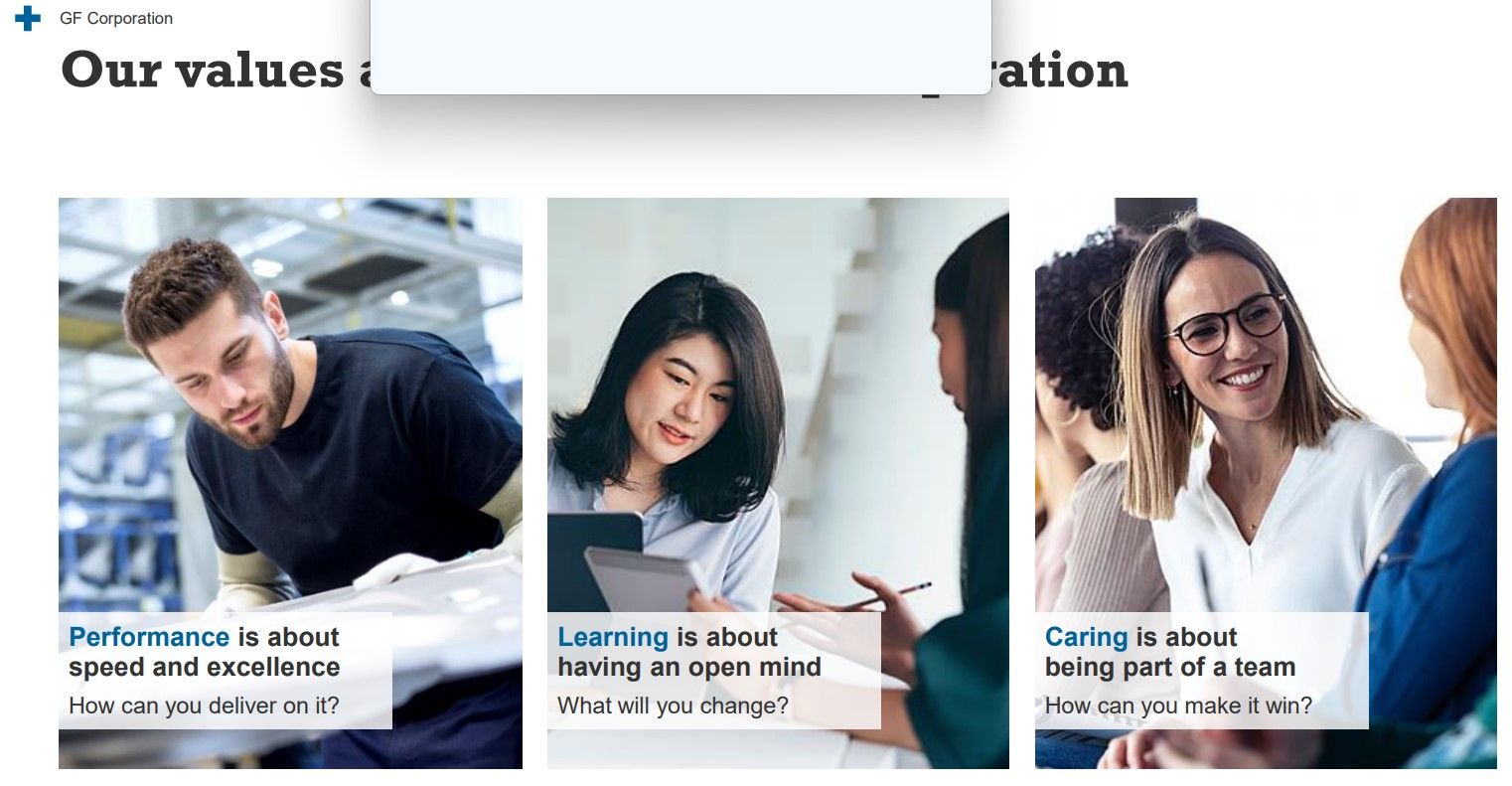 Company's culture and value information
