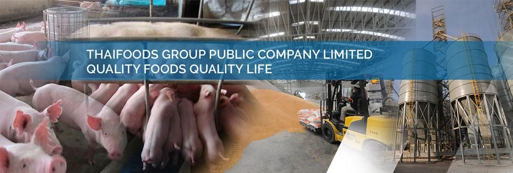 Thai Foods Group Public Company Limited's banner