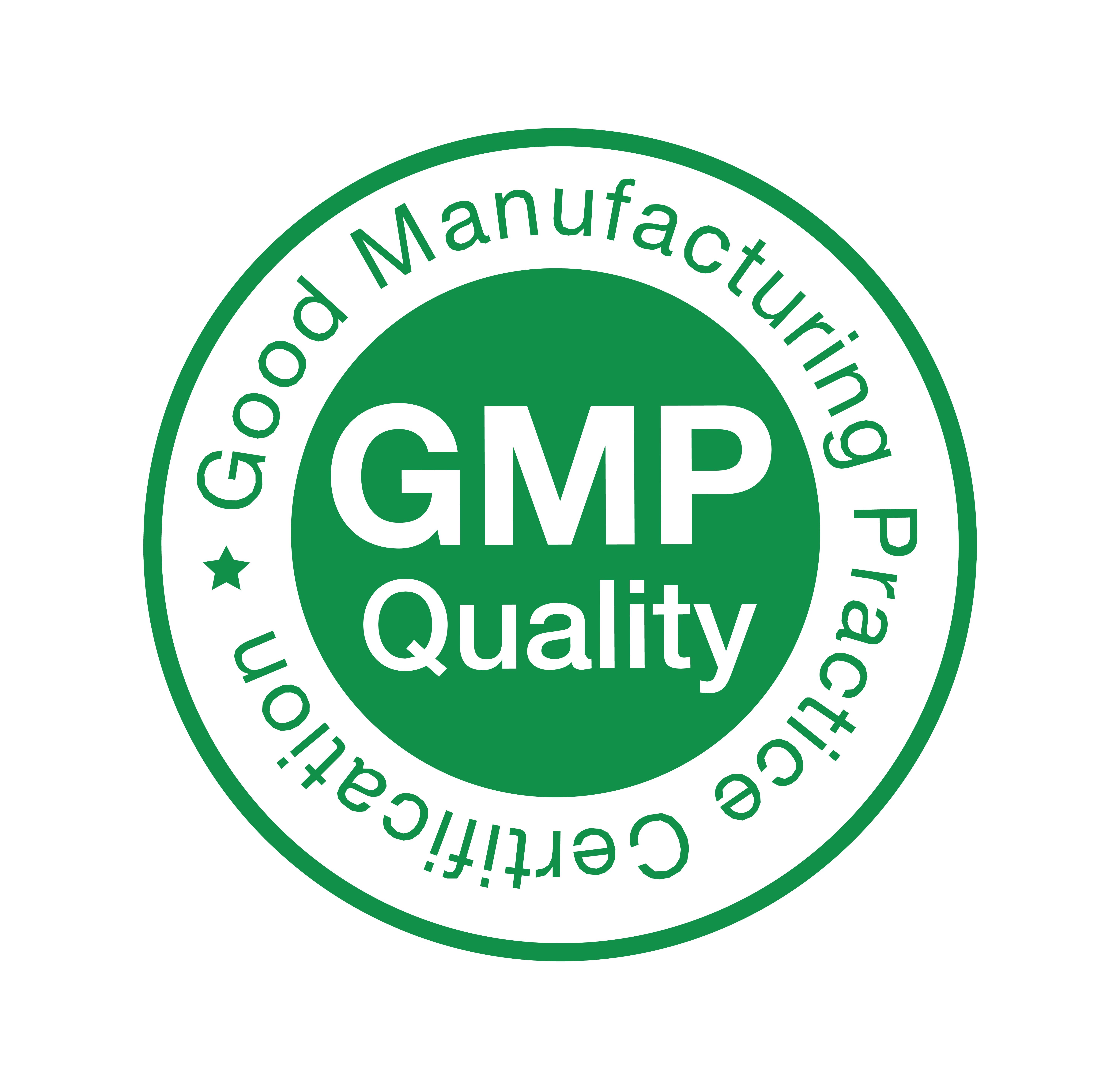 Good Manufacturing Practice 2024