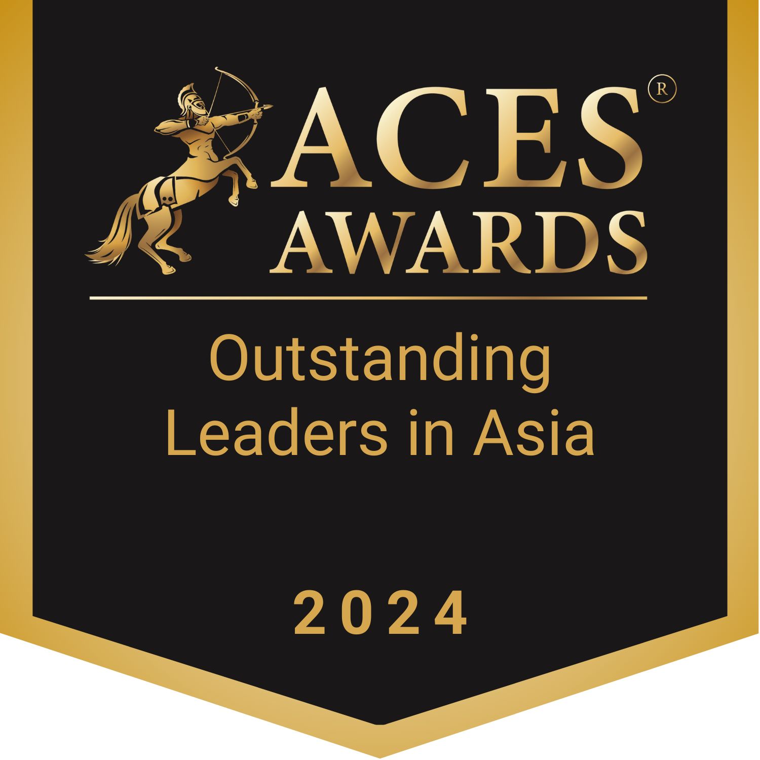 Asia Corporate Excellence & Sustainability Awards (ACES) 2024