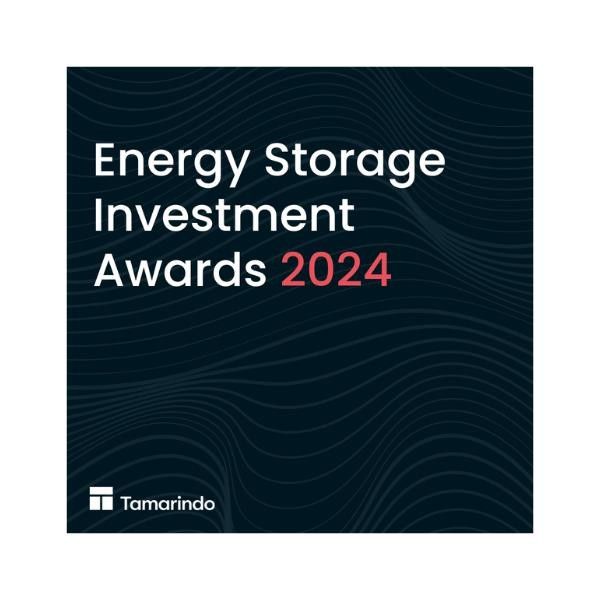Tamarindo Energy Storage Investment Award 2024