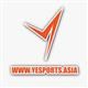 Yesports Media Limited's logo