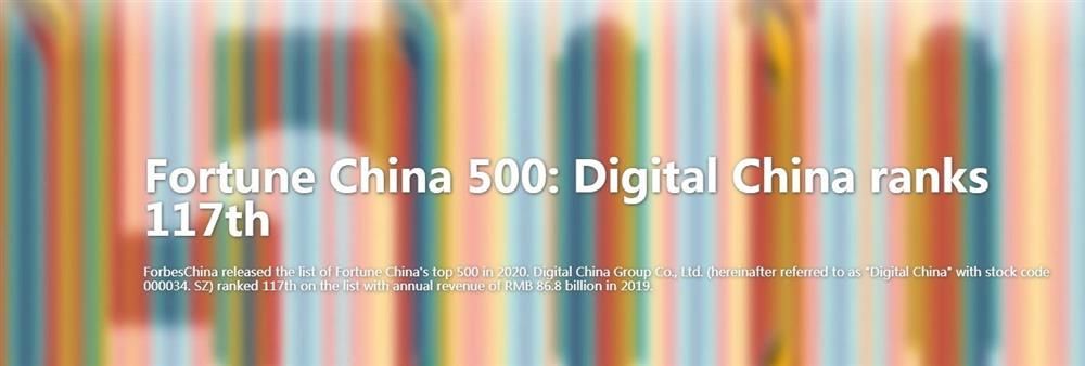 Digital China (HK) Limited's banner
