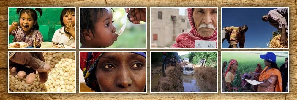 The United Nations World Food Programme's banner