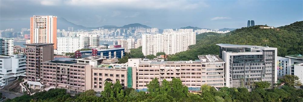 Chinese International School's banner