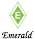 Emerald Nonwovens International Co., Ltd.'s logo